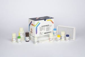 T3uptake / pishtaz teb / پیشتاز طب / کیت تشخیص طبی 